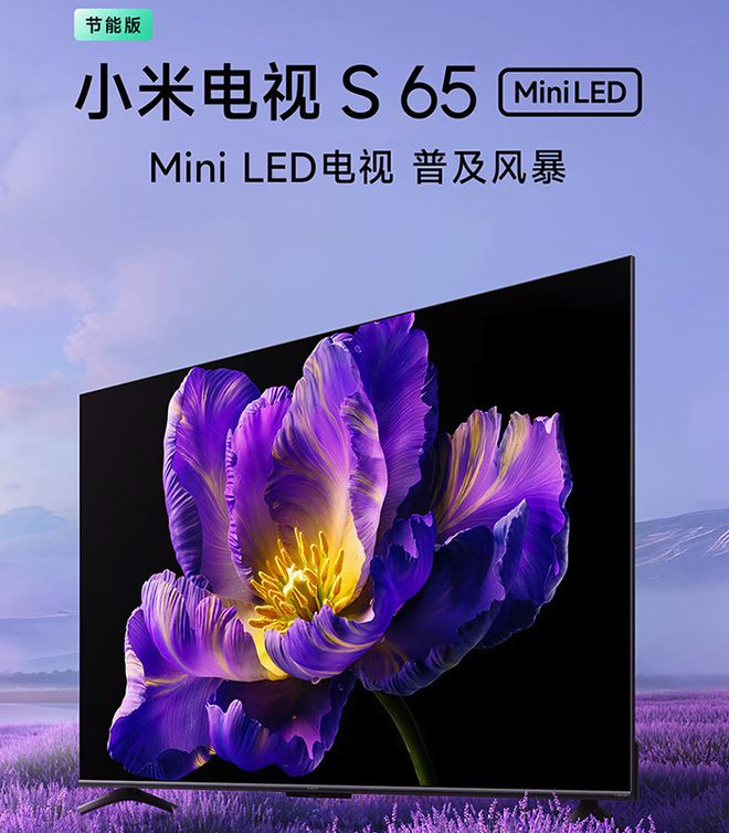 D电视的区别内行人道出实情选择一目了然凯发k8入口MiniLED电视和LE(图4)